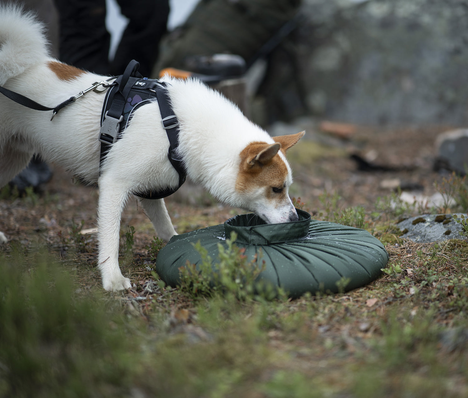 Water carrying bag
