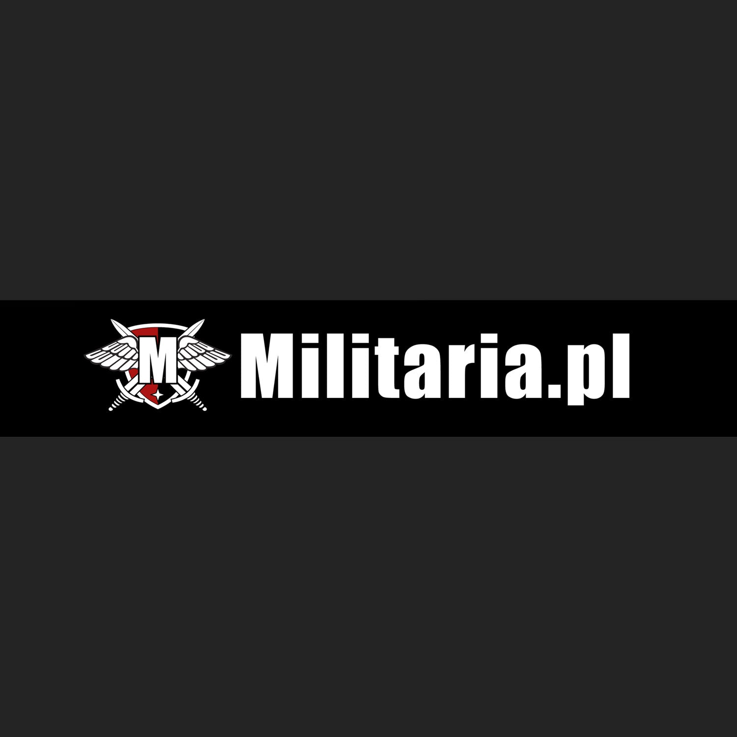 Militaria PL logo