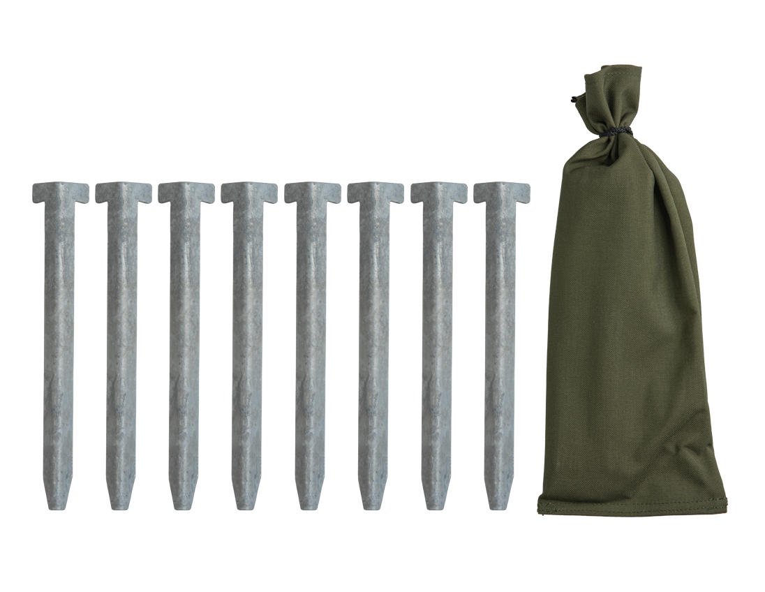 Tent stake set