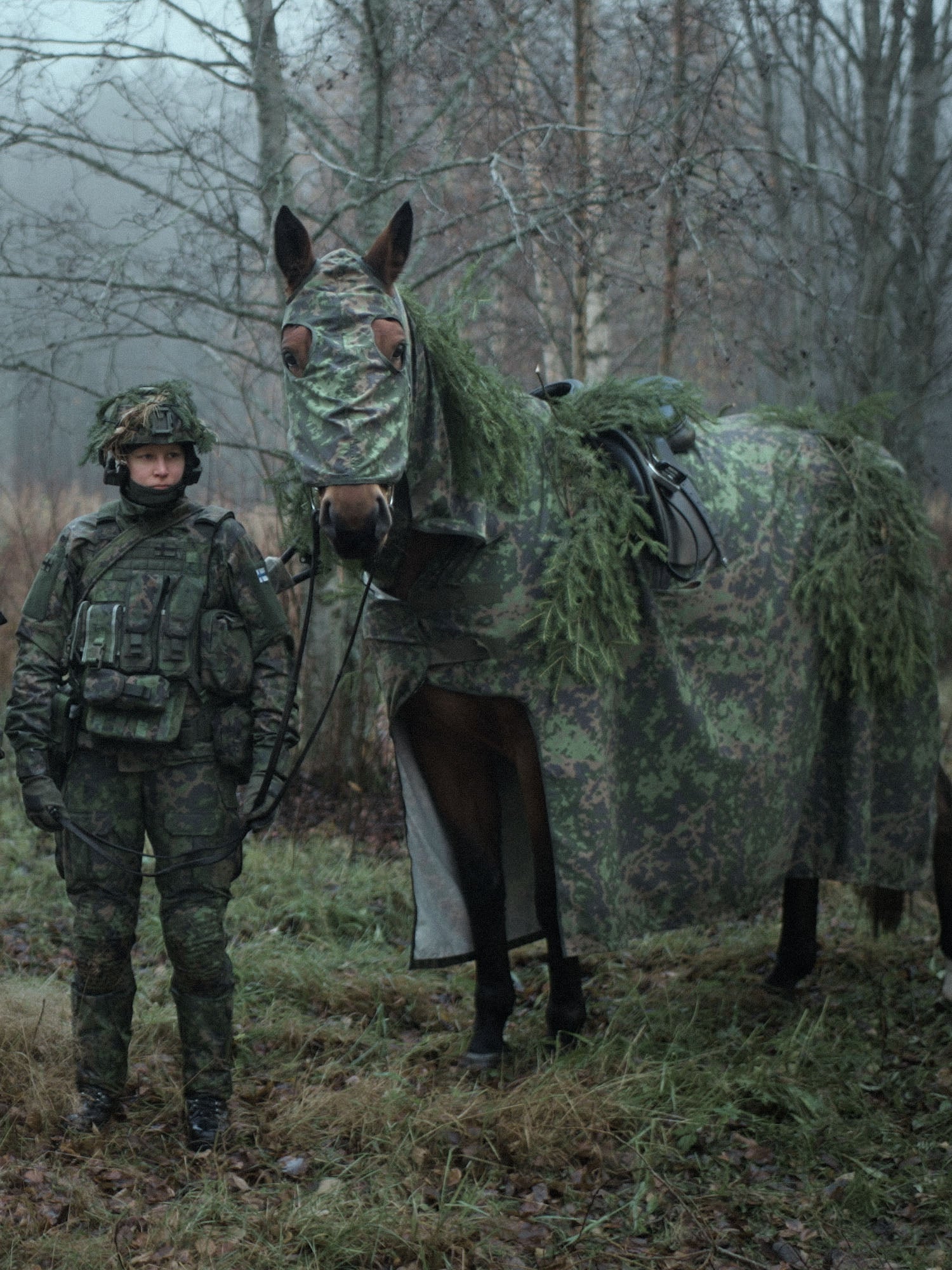 Tactical horse patch