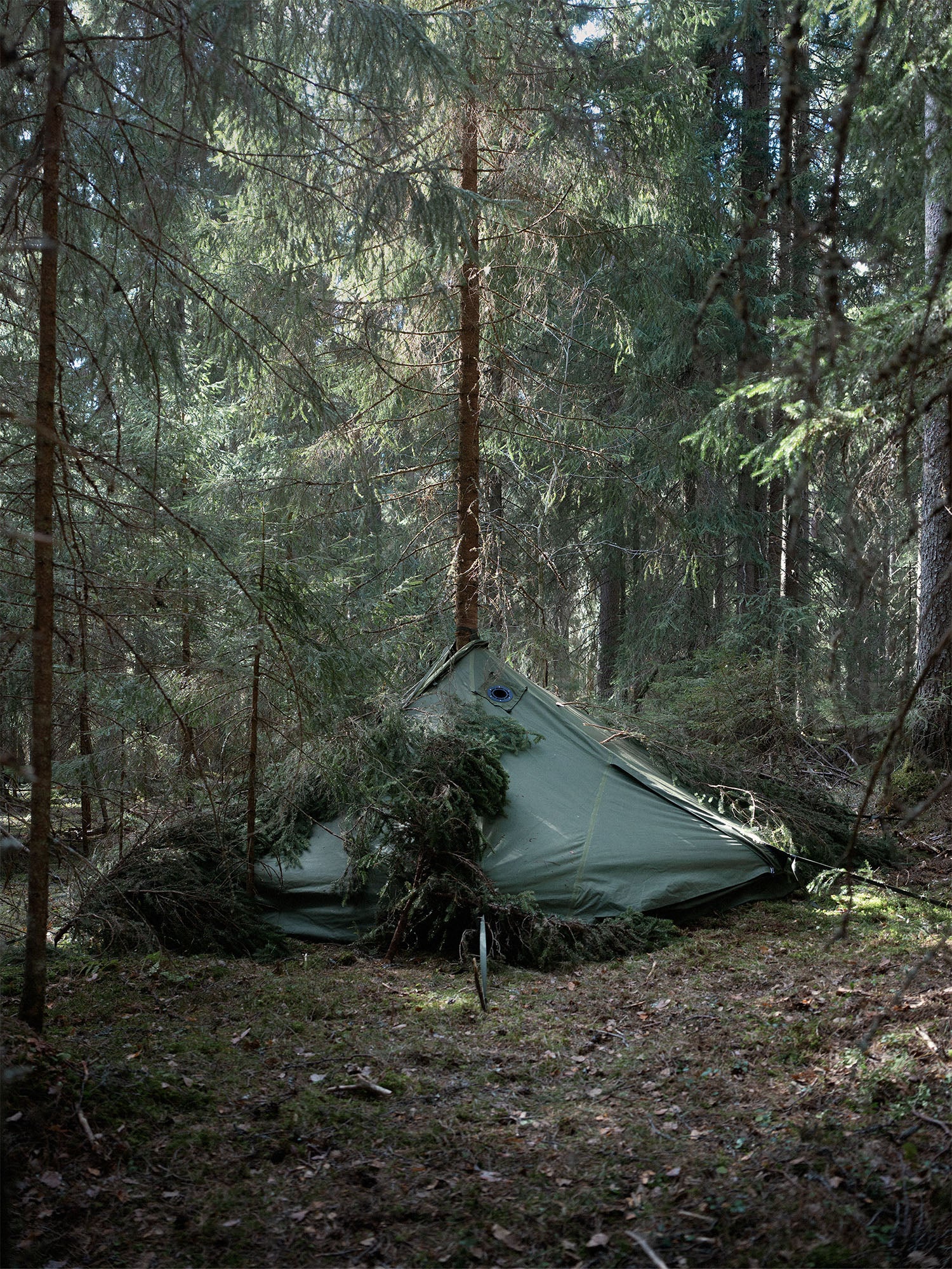 Savotta Hawu 8 tent set up in a dense forest