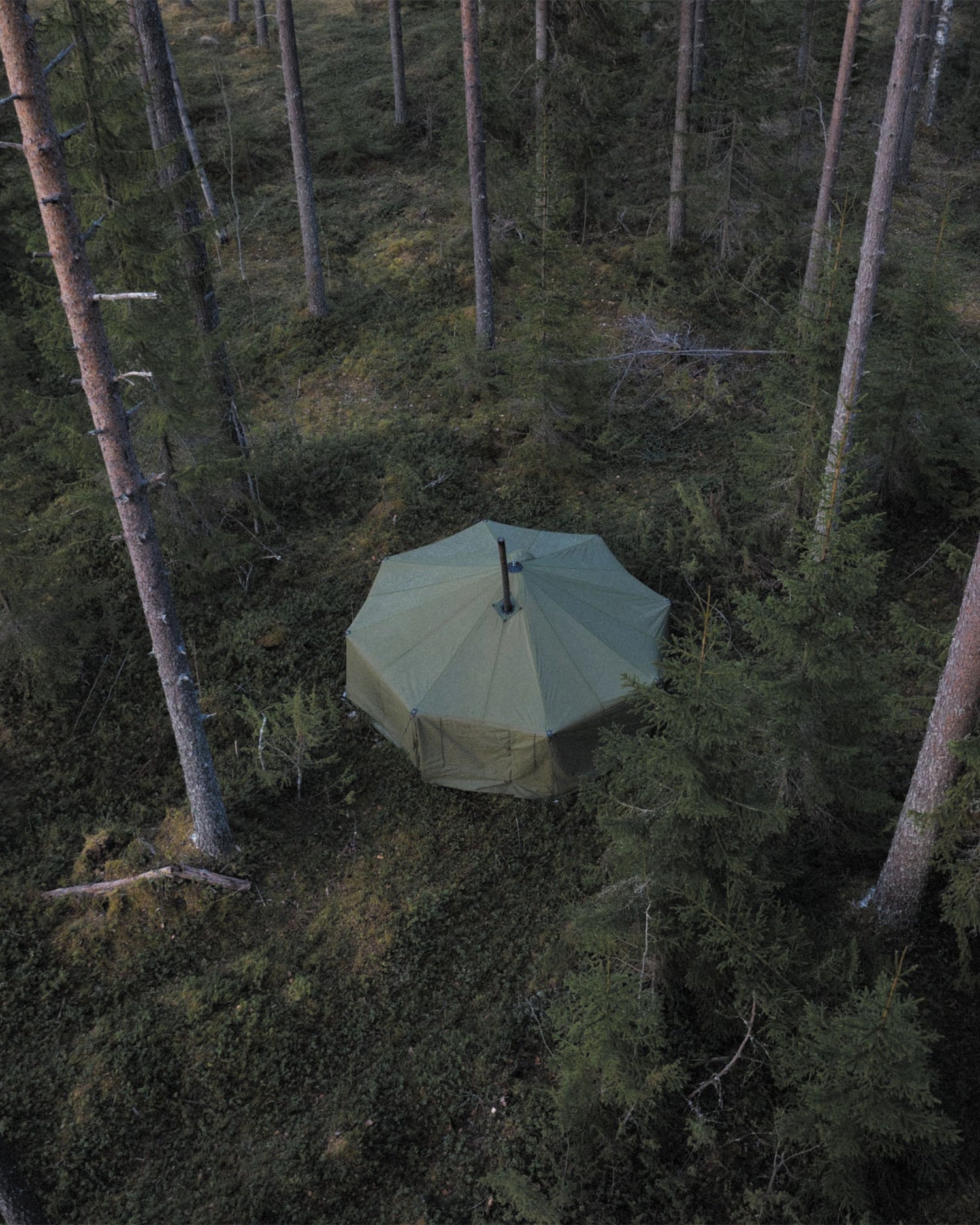Green tent in a forest setting, photographed from above